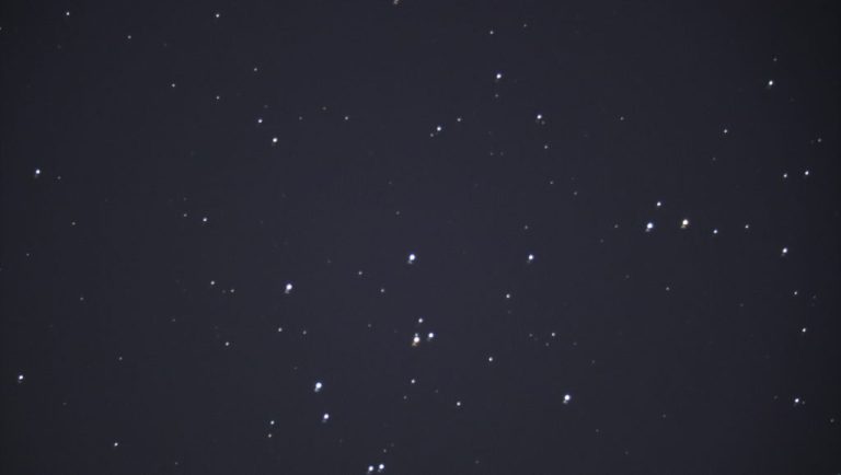 beehive-2023-05-25