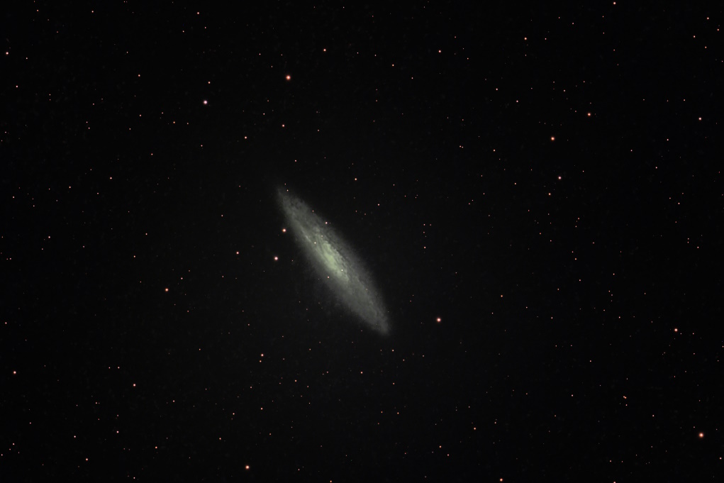 NGC 253-Sculptor Galaxy-2024-11-03-zoom