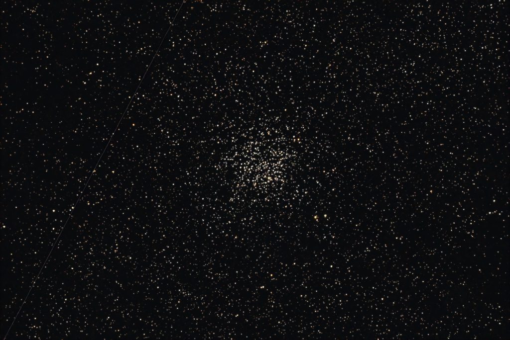 m11-wilduck-2025-08-23