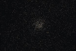 m11-wilduck-2025-08-23