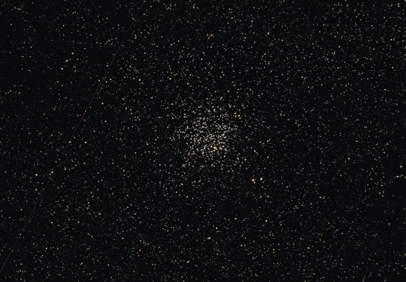 m11-wilduck-2025-08-23