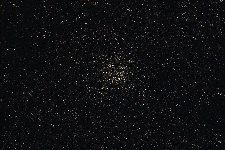 m11-wilduck-2025-08-23