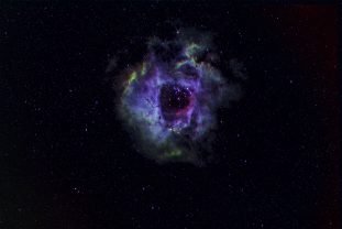 rosette-ngc2238-2025-11-14