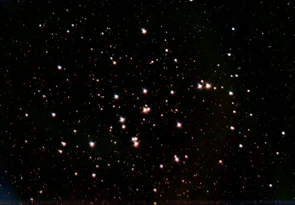 behivecluster_2026-04-19-carbonstar
