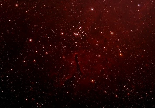 NGC6823-2026-05-11-carbonstar-zoom