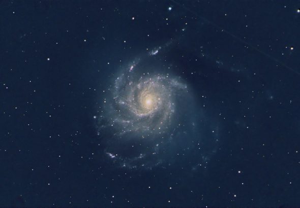 m101-2026-06-03-925-nofilter